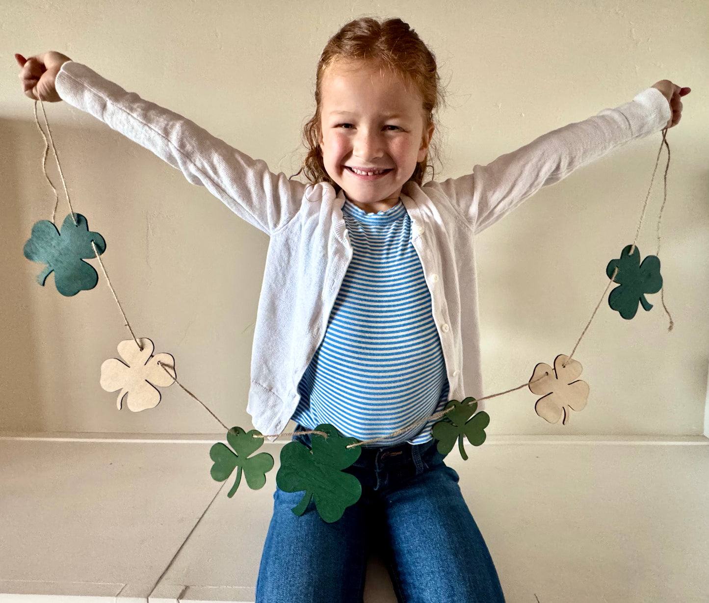 Blaire’s Shamrock Banner