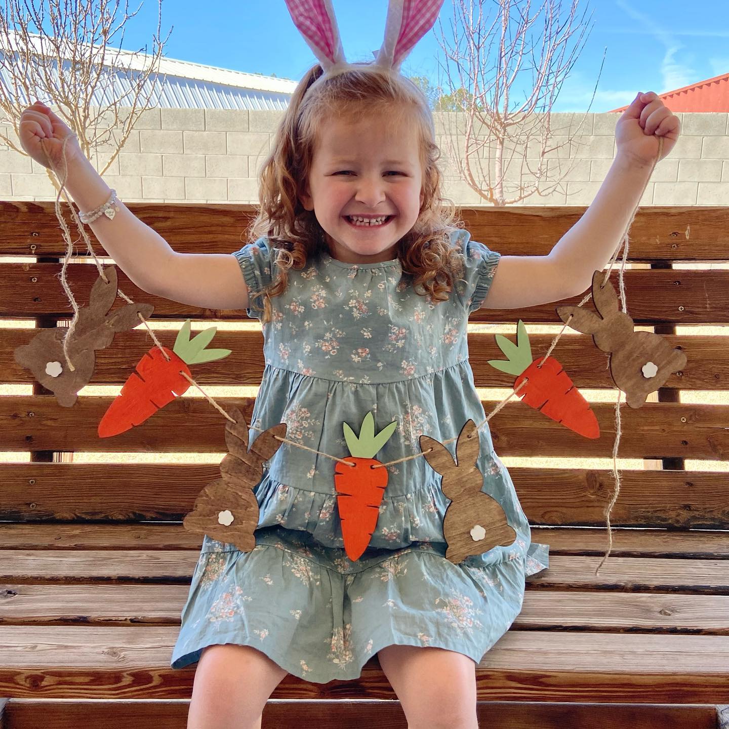 Blaire's Bunny Banner